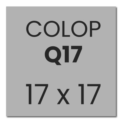 Tekstplaat Colop Printer Q17 | Stempelfabriek.nl